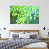 Raindrops auf Zedernholm Leinwanddruck (Insitu (Schlafzimmer))