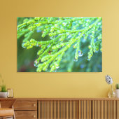 Raindrops auf Zedernholm Leinwanddruck (Insitu (Wohnzimmer))