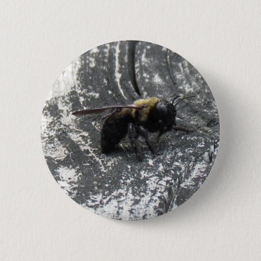 Raindrops Button (Vorderseite)