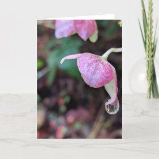 Raindrops Collection #3 Card Karte