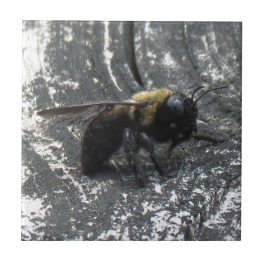 Raindrops Fliese (Vorderseite)