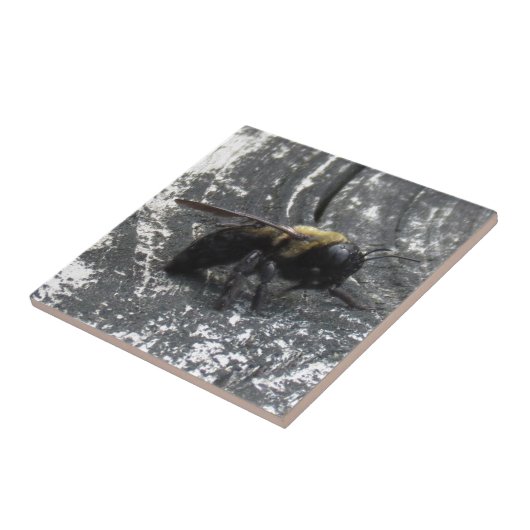 Raindrops Fliese (Seite)