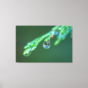 Raindrops Leinwanddruck