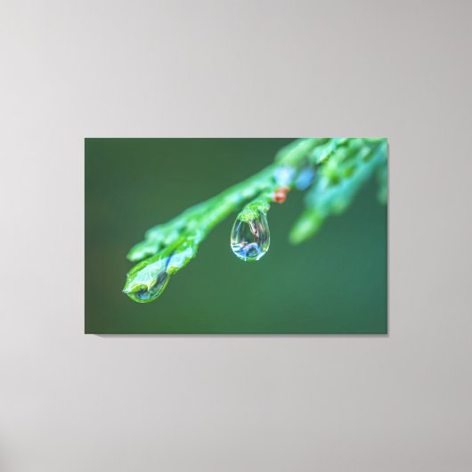Raindrops Leinwanddruck (Vorderseite)