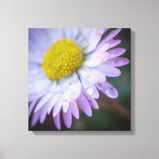 Raindrops Leinwanddruck (Vorderseite)