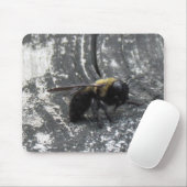 Raindrops Mousepad (Mit Mouse)