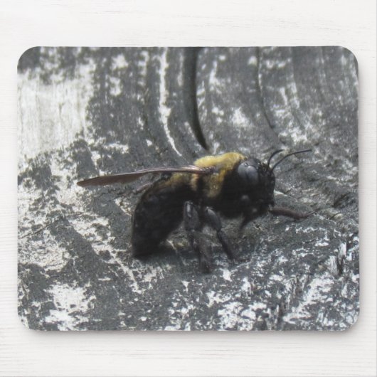 Raindrops Mousepad (Vorne)