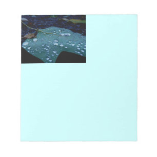 Raindrops Notepad Notizblock