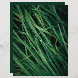 Raindrops on grass scrapbook paper