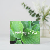 Raindrops on hosta Verlasse Foto Denken Sie an Sie Postkarte (Stehend Vorderseite)