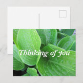 Raindrops on hosta Verlasse Foto Denken Sie an Sie Postkarte (Vorne/Hinten)