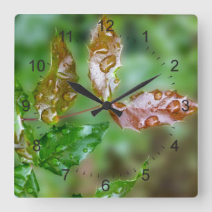raindrops on leaves quadratische wanduhr