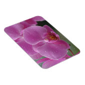 Raindrops on Orchids Magnet (Rechte Seite)