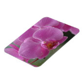 Raindrops on Orchids Magnet (Linke Seite)