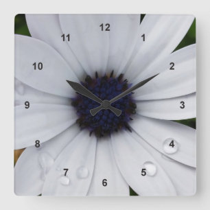 raindrops on white quadratische wanduhr
