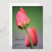 Raindrops Pink Tulips Dankeschön Karten (Vorne/Hinten)
