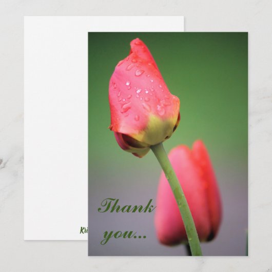 Raindrops Pink Tulips Dankeschön Karten (Vorne/Hinten)