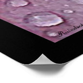 Raindrops Poster (Ecke)