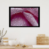 Raindrops Poster (Küche)