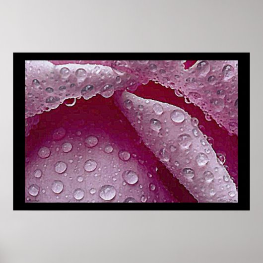 Raindrops Poster (Vorne)