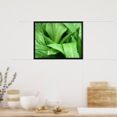 Raindrops Poster (Küche)