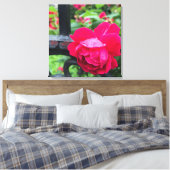 Raindrops Rosa Blume Rose Rainy Day NYC Leinwanddruck (Insitu (Schlafzimmer))