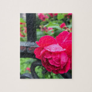 Raindrops Rosa Blume Rose Rainy Day NYC Puzzle