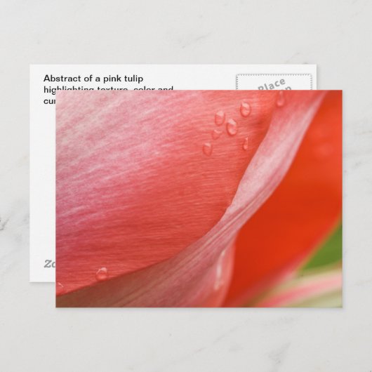 Raindrops, rosa Frühlingshuppe Abstraktes Makro-Fo Postkarte (Vorne/Hinten)