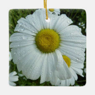 Raindrops über Daisy I Wildblume Floral Keramikornament