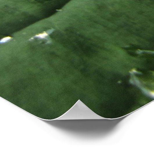 Raindrops über Hosta Leaf Poster (Ecke)