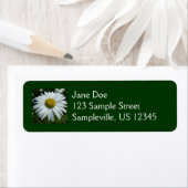 Raindrops zur Daisy-II-Wildblume (Insitu)