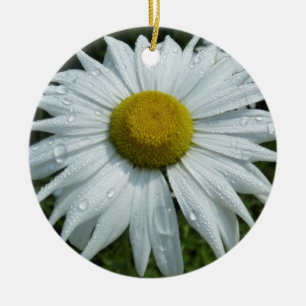 Raindrops zur Daisy-II-Wildblume Keramikornament
