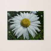 Raindrops zur Daisy-II-Wildblume Puzzle (Horizontal)