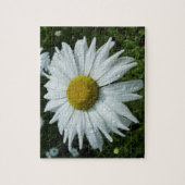 Raindrops zur Daisy-II-Wildblume Puzzle (Vertikal)