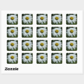 Raindrops zur Daisy-II-Wildblume Quadratischer Aufkleber (Blatt)