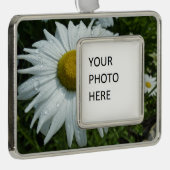 Raindrops zur Daisy-II-Wildblume Rahmen-Ornament Silber (Rechts)