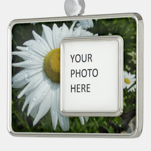 Raindrops zur Daisy-II-Wildblume Rahmen-Ornament Silber (Links)