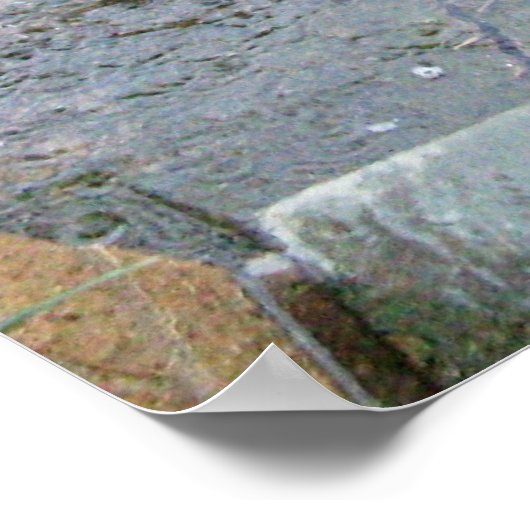 RAINDRUCK POSTER (Ecke)