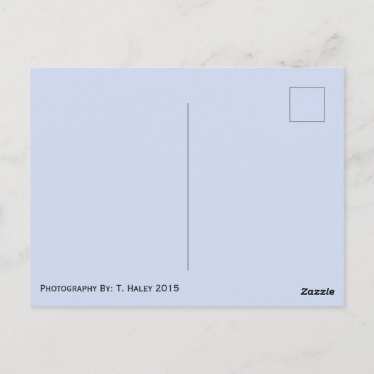 Rainer Washington Postcard Postkarte (Rückseite)