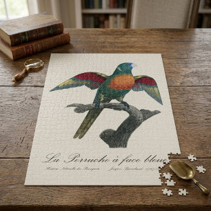 Rainerlorikit, Trichoglossus haematodus Puzzle