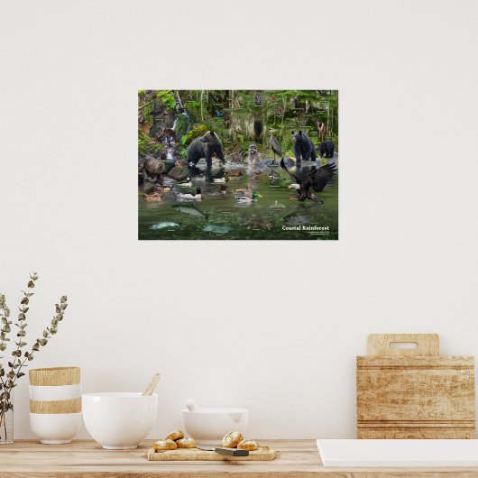 Rainforest an der Küste iD Poster (Küche)