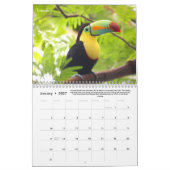 Rainforest Animals & Fun Fakten 12 Monate Kalender (Jan 2027)