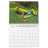 Rainforest Animals & Fun Fakten 12 Monate Kalender (Mär 2027)