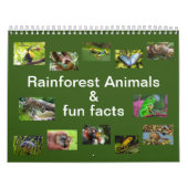 Rainforest Animals & Fun Fakten 12 Monate Kalender (Titelbild)