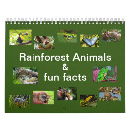 Rainforest Animals & Fun Fakten 12 Monate Kalender