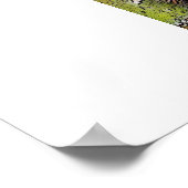 Rainforest Bamboo in Costa Rica Poster (Ecke)