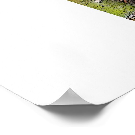 Rainforest Bamboo in Costa Rica Poster (Ecke)