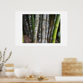 Rainforest Bamboo in Costa Rica Poster (Küche)