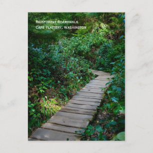 Rainforest Boardwalk Postkarte