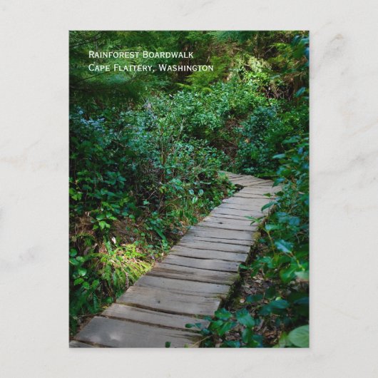 Rainforest Boardwalk Postkarte (Vorderseite)